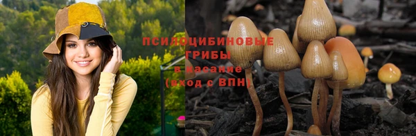 стаф Богородицк