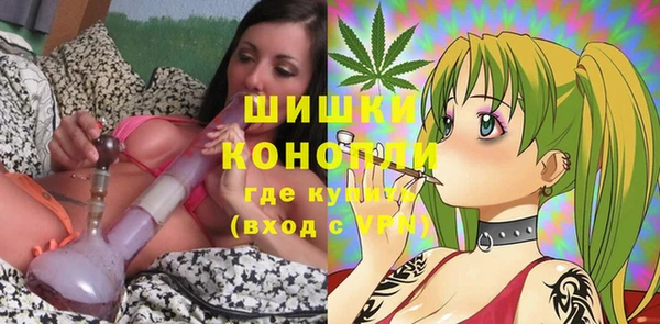 стаф Богородицк