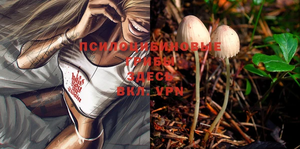 трава Богданович