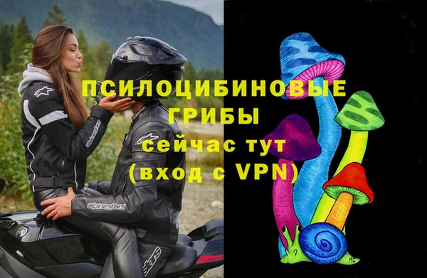 трава Богданович