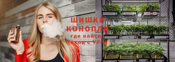 трава Богданович