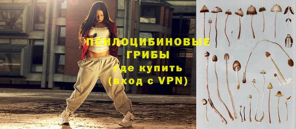 спайс Богородск
