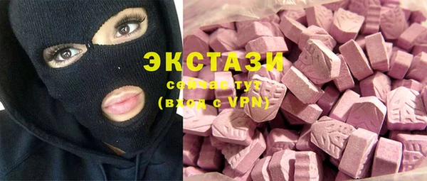 стаф Богородицк