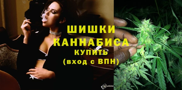 дурь Тутаев